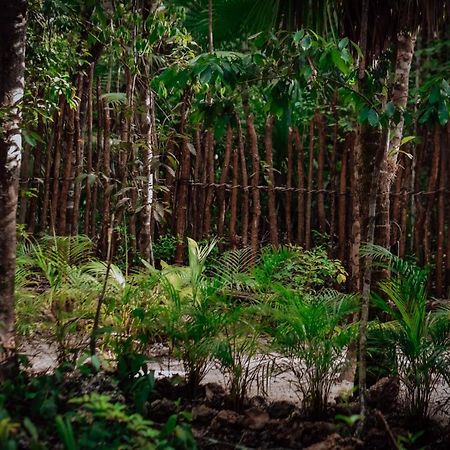 Hotel Lunita Jungle Experience Puerto Morelos Exteriér fotografie