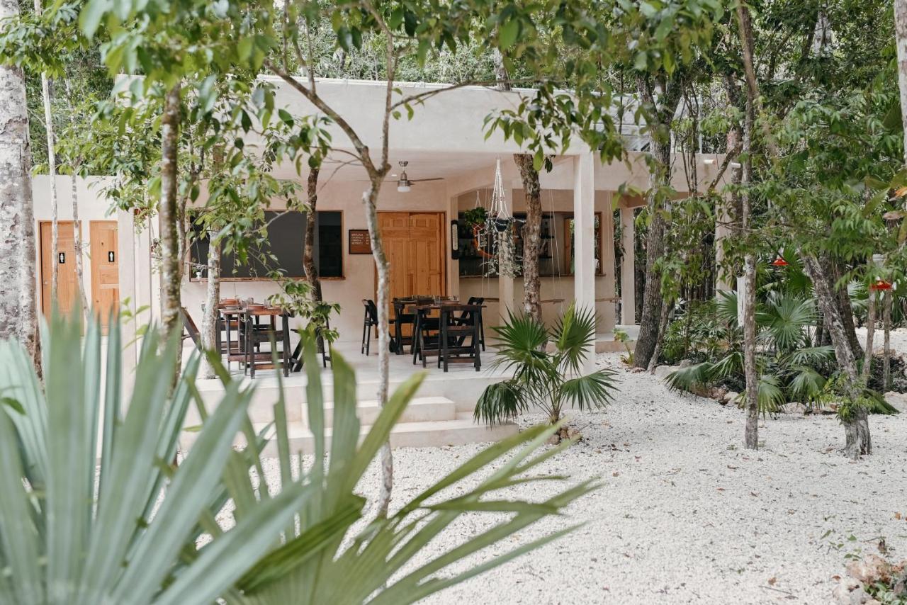 Hotel Lunita Jungle Experience Puerto Morelos Exteriér fotografie