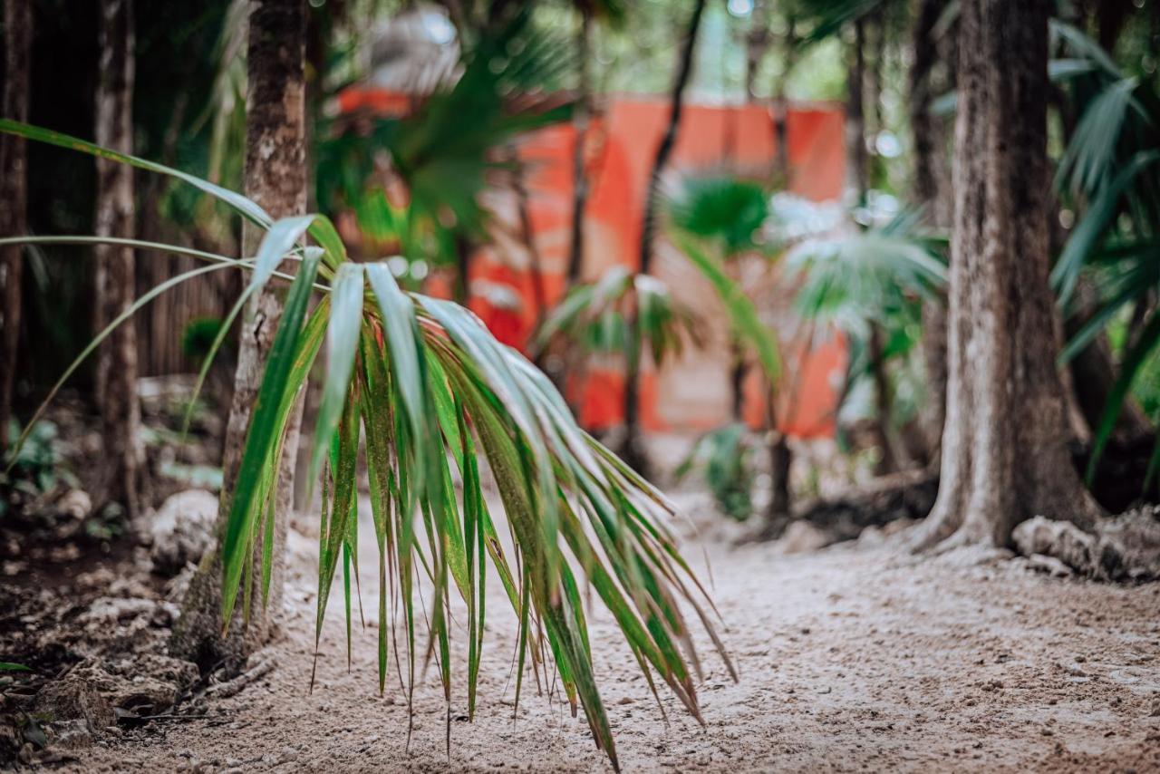 Hotel Lunita Jungle Experience Puerto Morelos Exteriér fotografie