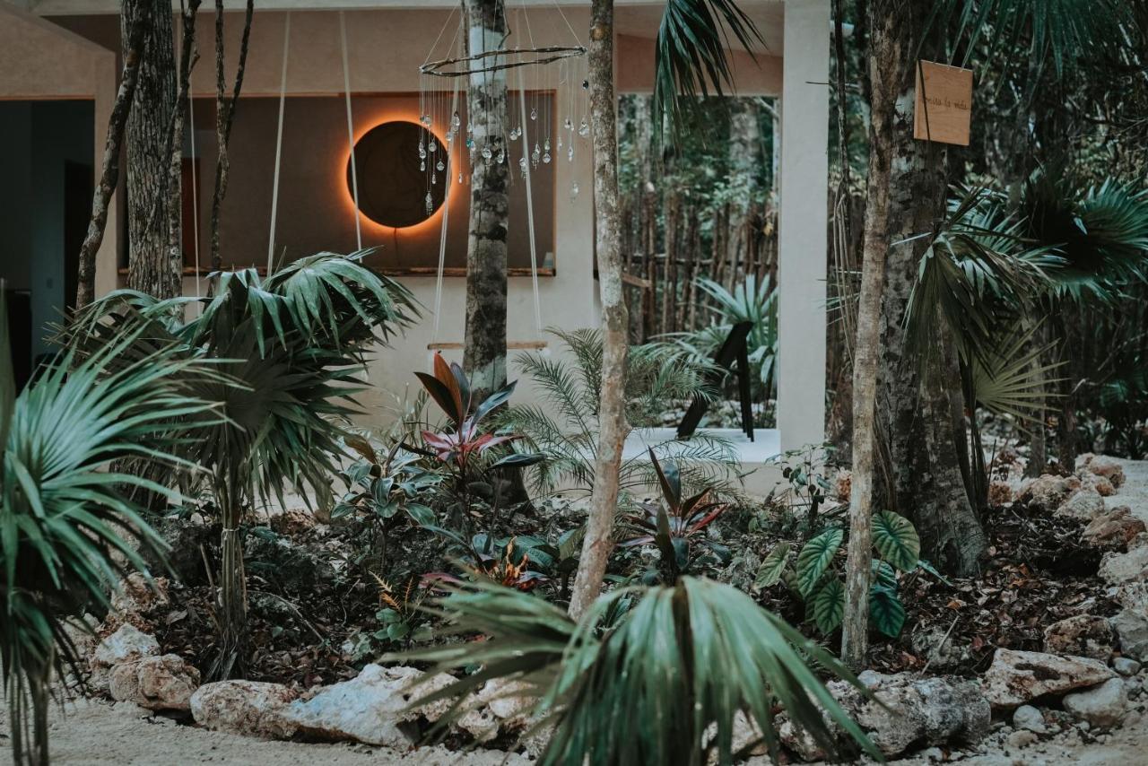 Hotel Lunita Jungle Experience Puerto Morelos Exteriér fotografie