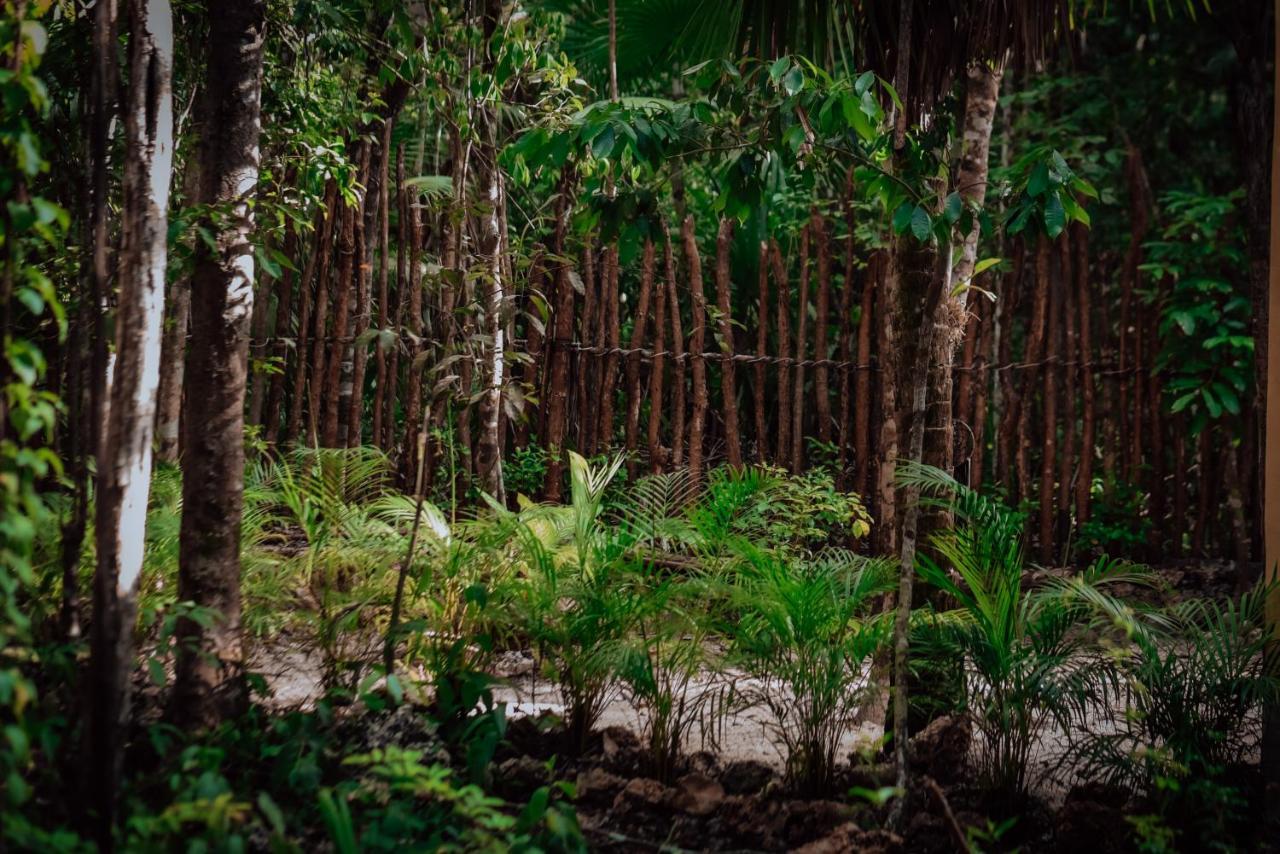 Hotel Lunita Jungle Experience Puerto Morelos Exteriér fotografie
