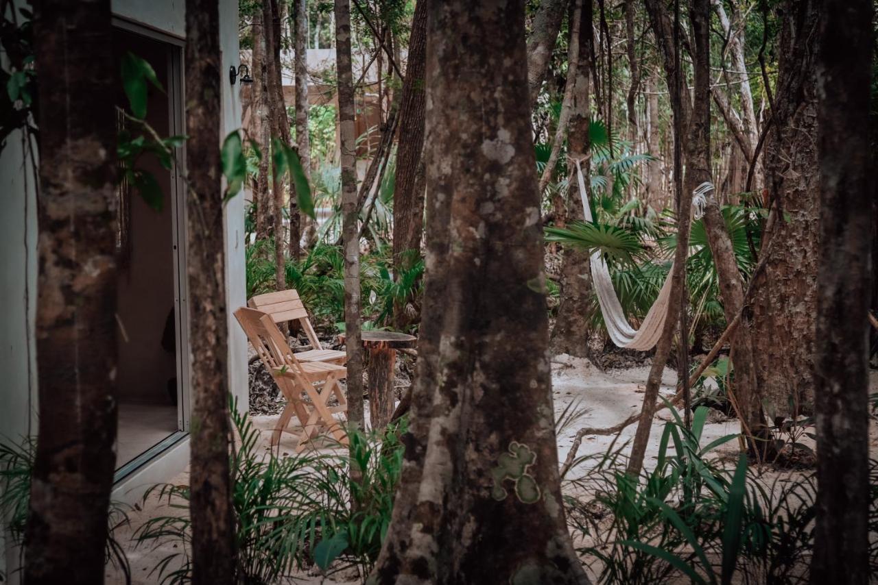 Hotel Lunita Jungle Experience Puerto Morelos Exteriér fotografie